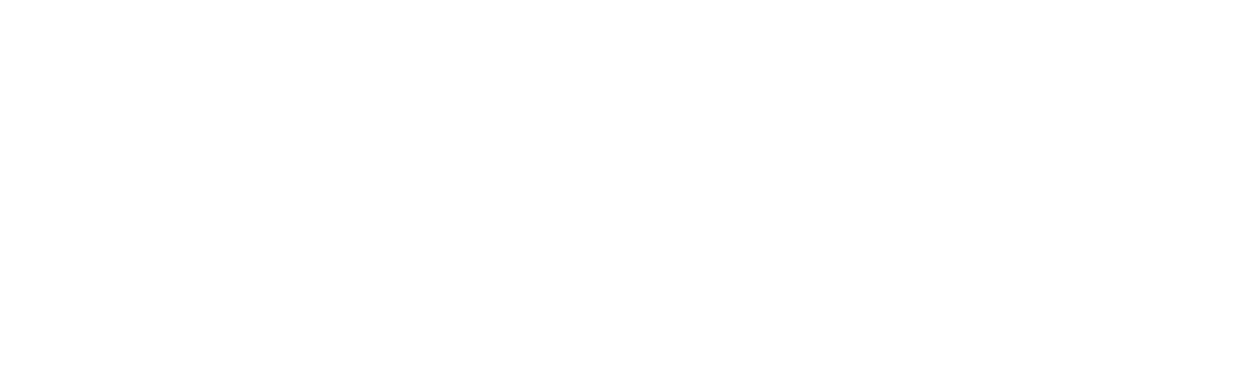 Özkan Oto Elektronik